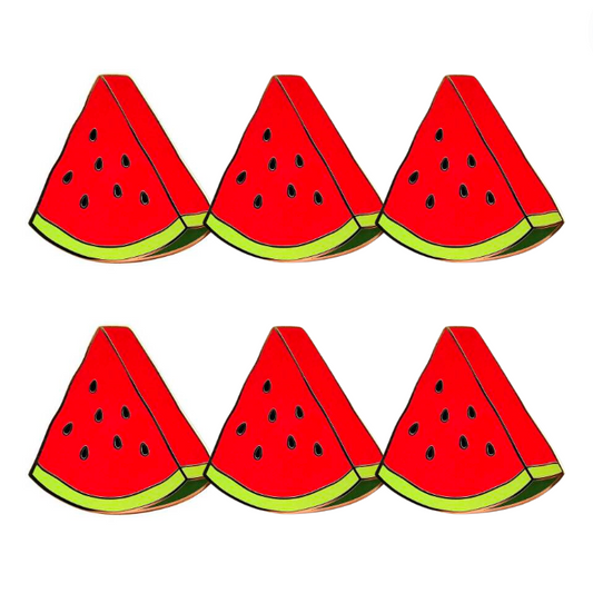 6x Watermelon Pins